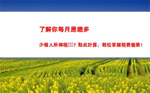 省錢秘籍：輕松計算個人所得稅，月月省錢！